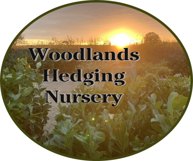 Woodlands Hedging Nursery